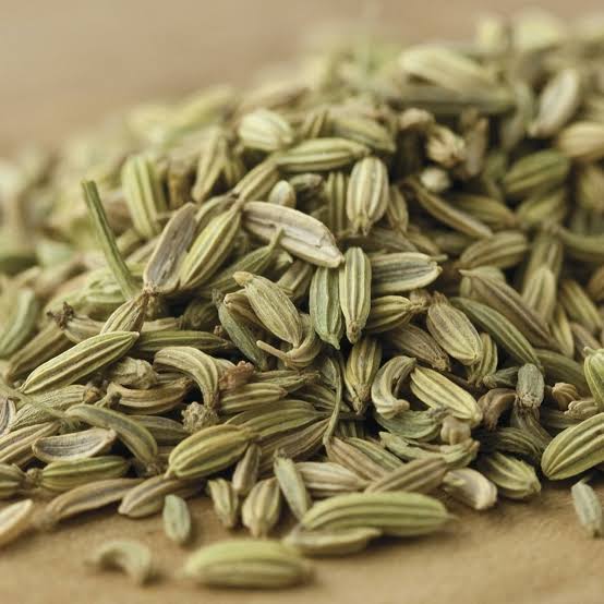 Fennel Seeds